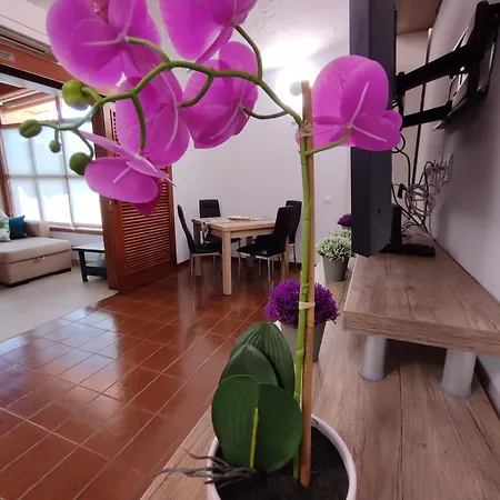 Tartanas Two Bedroom Feriehus Playa del Inglés