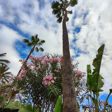 Tartanas Two Bedroom Feriehus Playa del Inglés