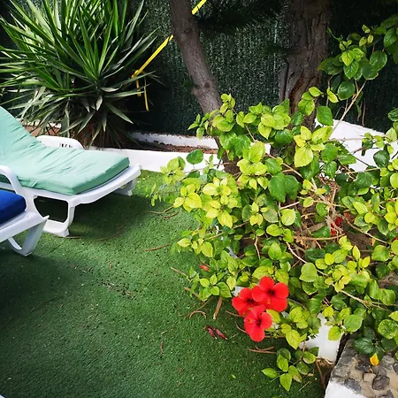 Feriehus Tartanas Two Bedroom *