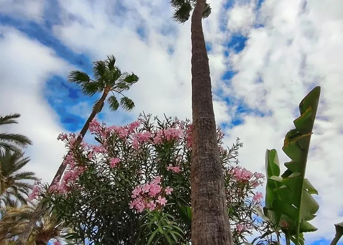 Tartanas Two Bedroom 別荘 プラヤ・デル・イングレス