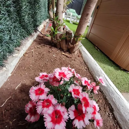 Tartanas Two Bedroom Holiday home